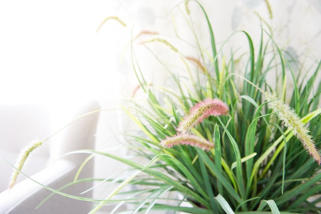 Attendo Park Hotell, General view