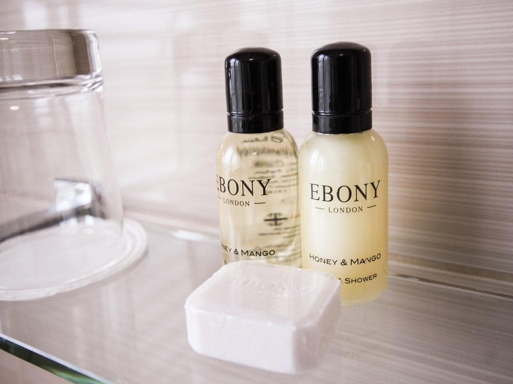 Leasowe Castle, General view