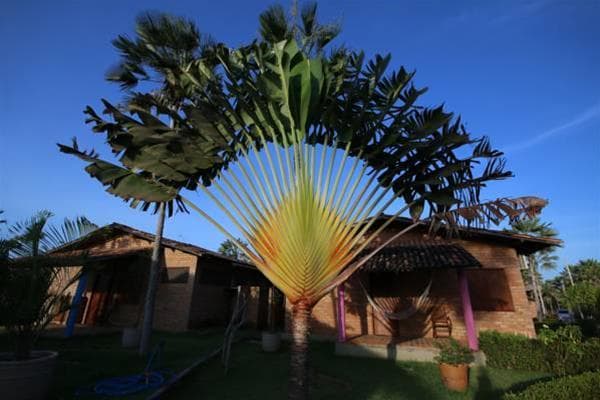 Porto Preguica Resort, General view