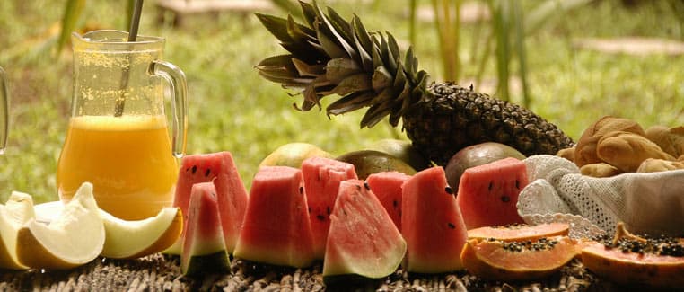 Pousada Portas da Amazônia, General view