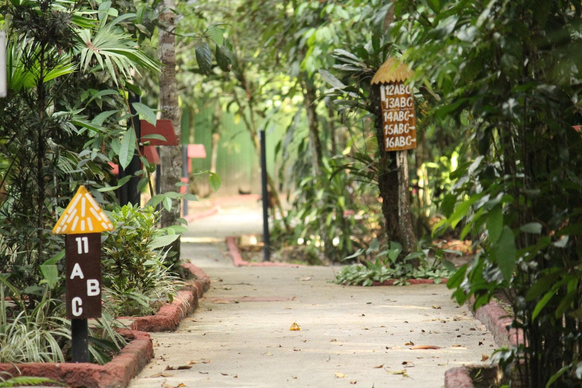 Amazon Ecopark Jungle Lodge, General view