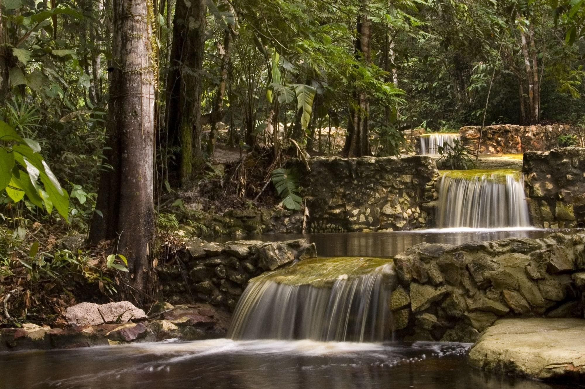 Amazon Ecopark Jungle Lodge, Sports and Entertainment