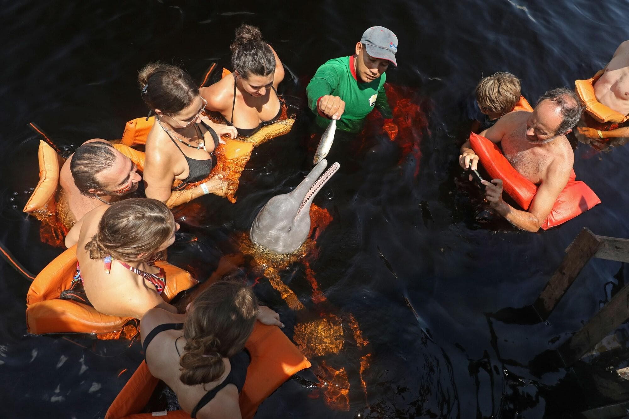 Amazon Ecopark Jungle Lodge, Sports and Entertainment