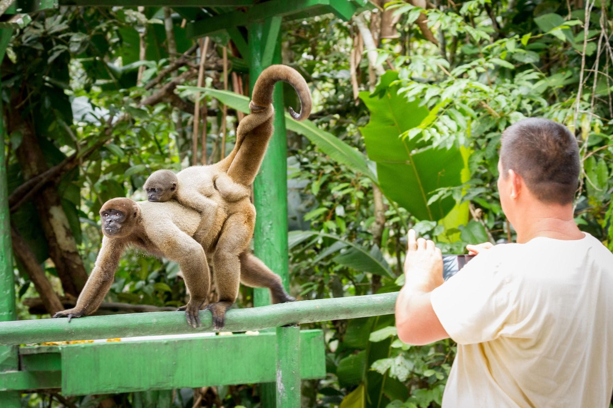 Amazon Ecopark Jungle Lodge, Sports and Entertainment