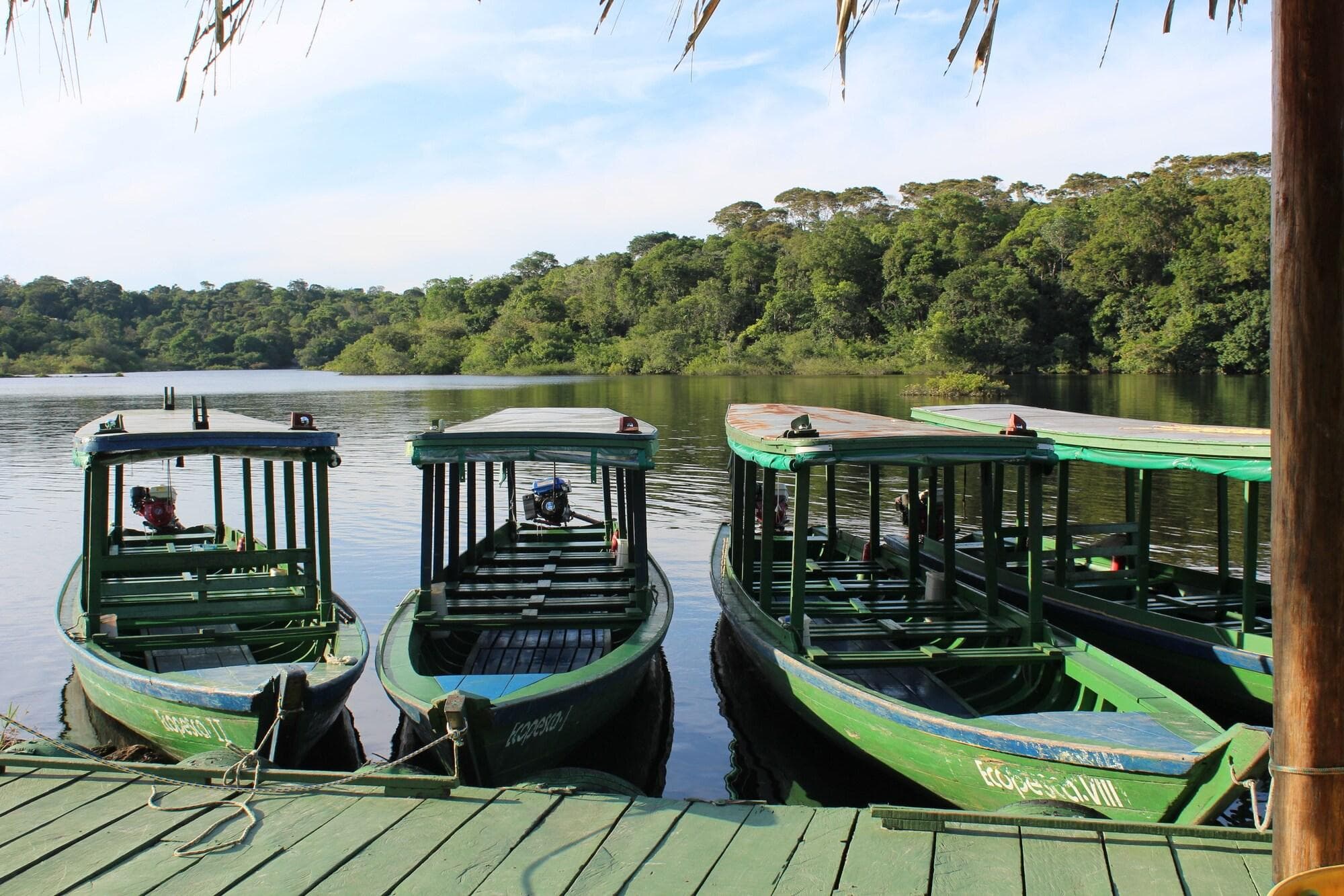 Amazon Ecopark Jungle Lodge, Terrace