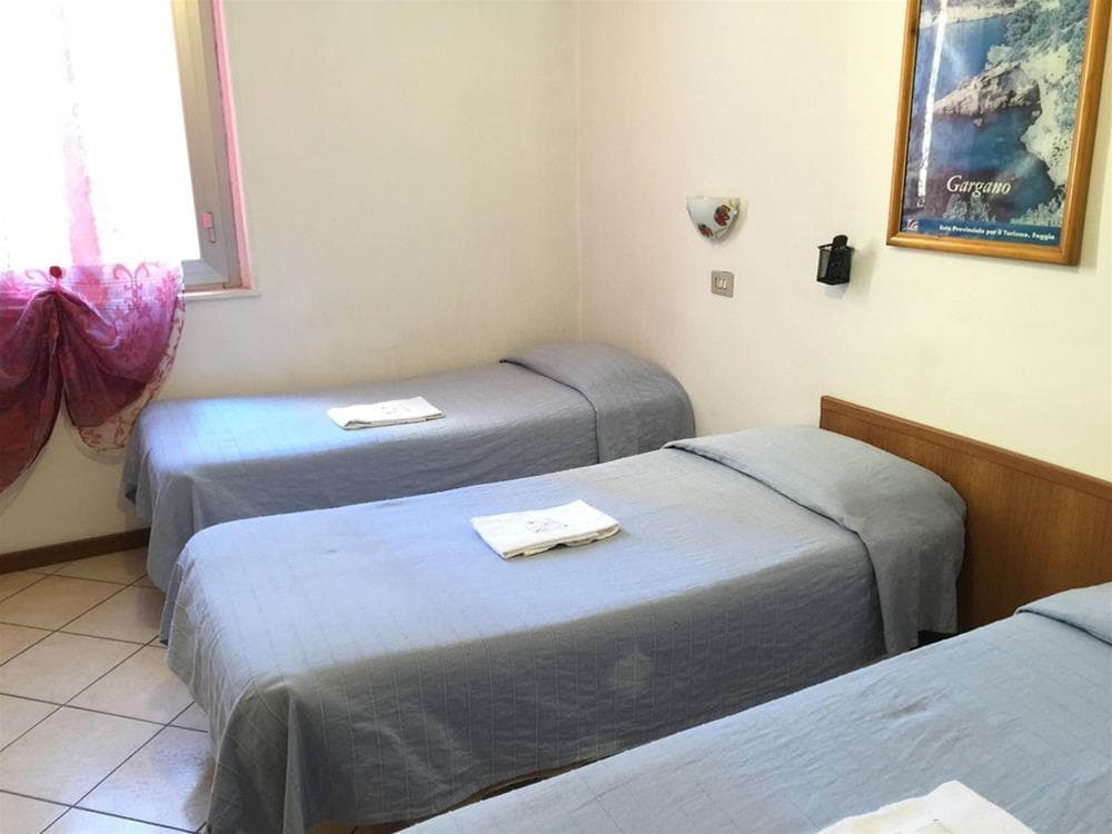 Adelchi, General view