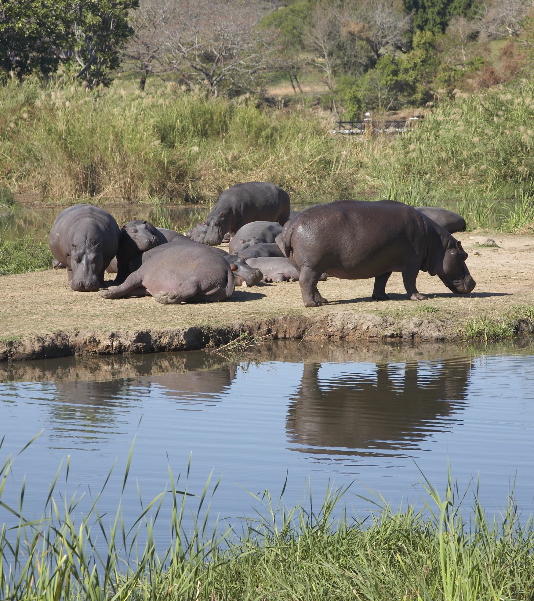 Sabi River Sun, General view