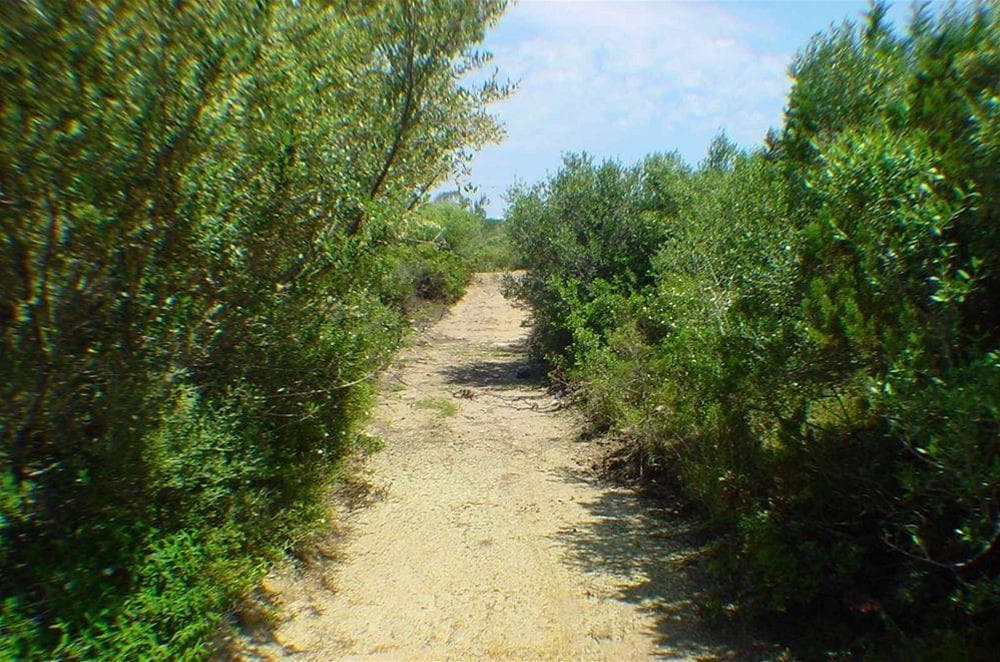 Porto Puddu, General view