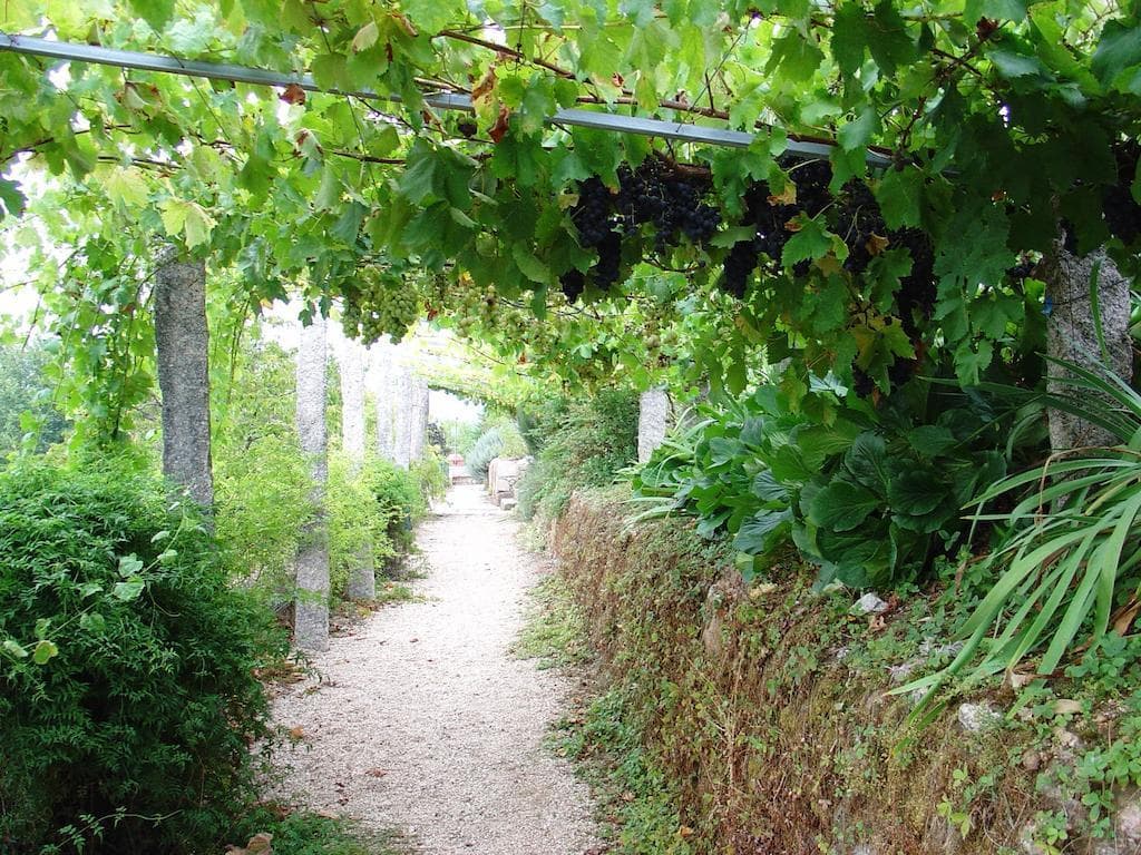 Convento dos Capuchos, General view