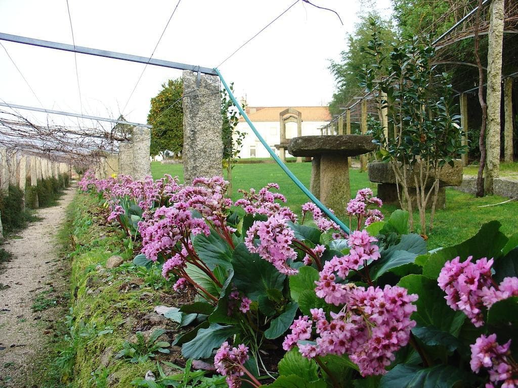 Convento dos Capuchos, General view