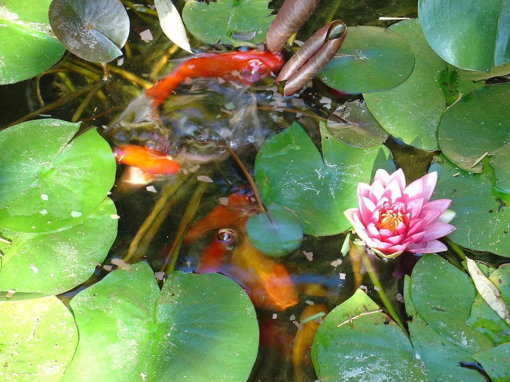 Convento dos Capuchos, General view