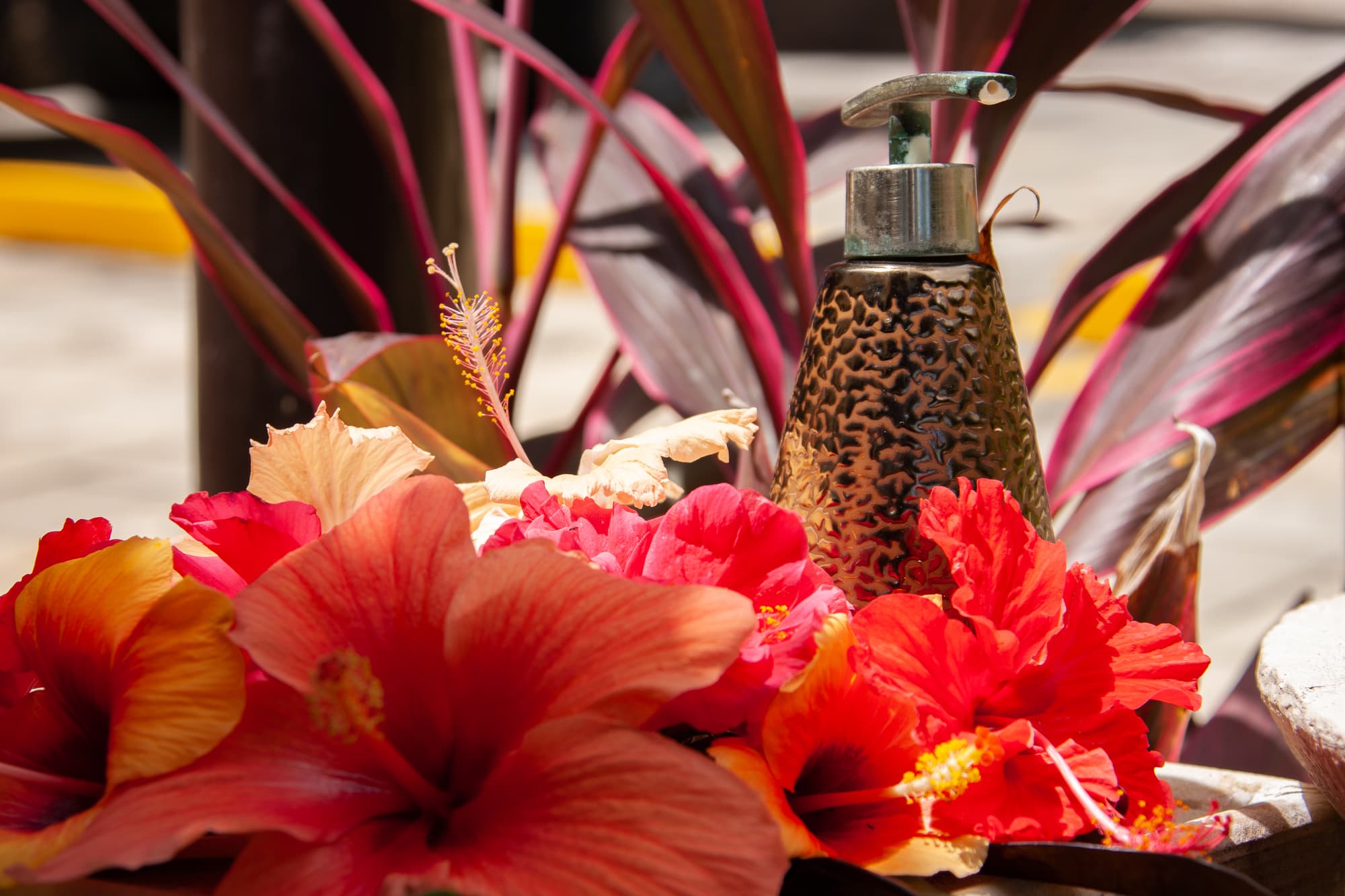 Colibri Guest House, General view