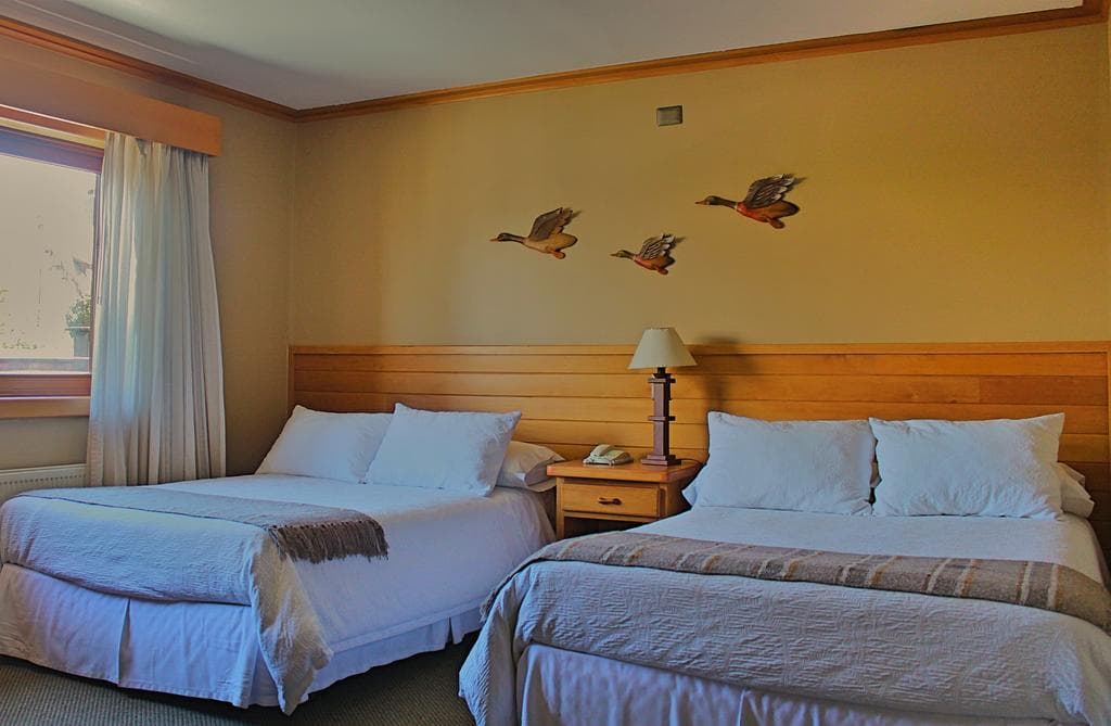 Puelche, General view