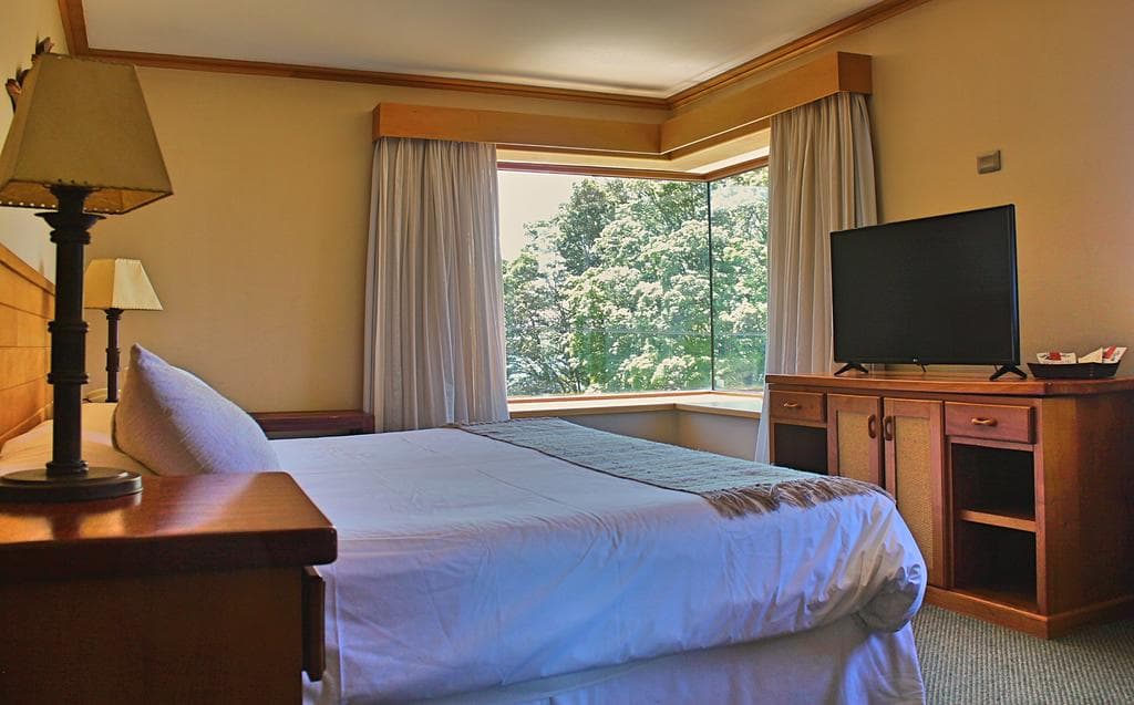 Puelche, General view