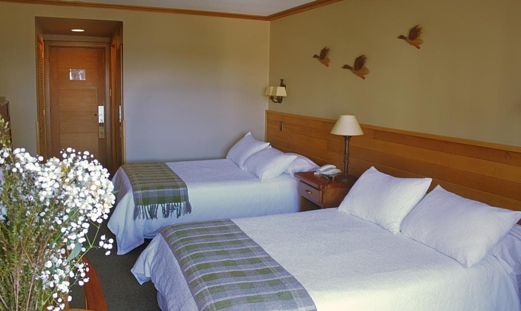 Puelche, General view