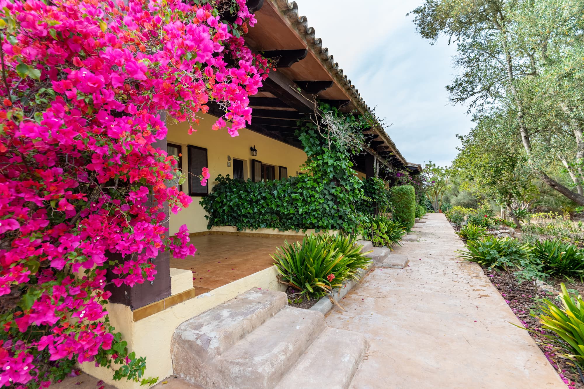 Hotel Rural Predio Son Serra, Room