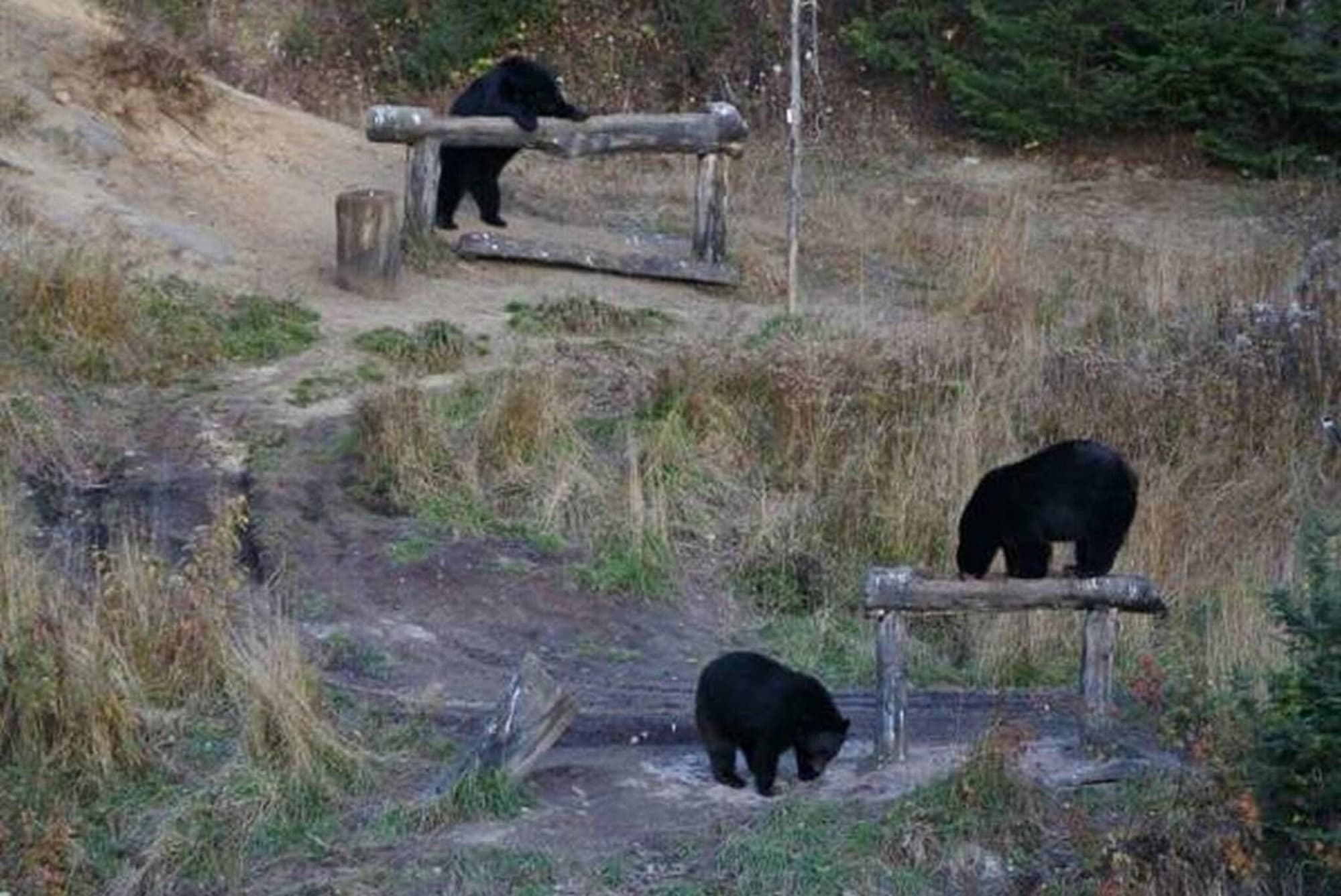 Gite Au Vieux Pommier, General view
