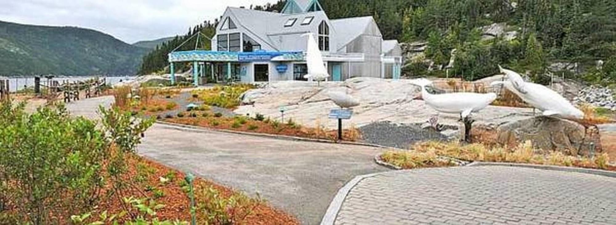 Gite Au Vieux Pommier, General view