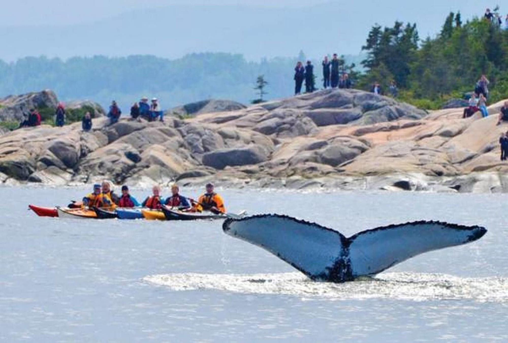 Gite Au Vieux Pommier, General view