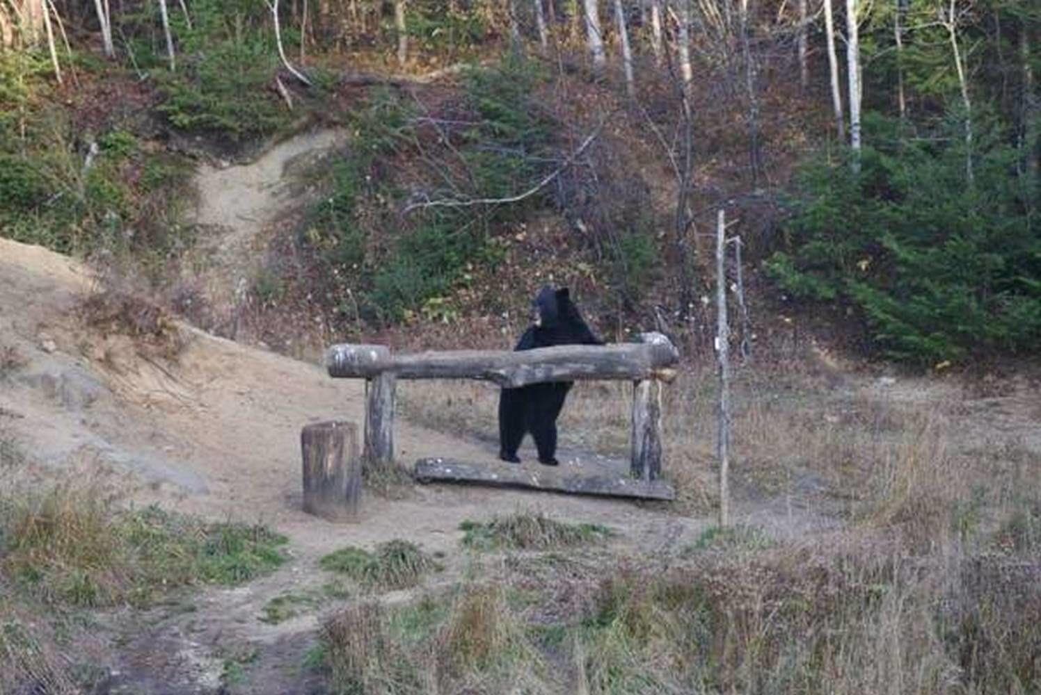 Gite Au Vieux Pommier, General view