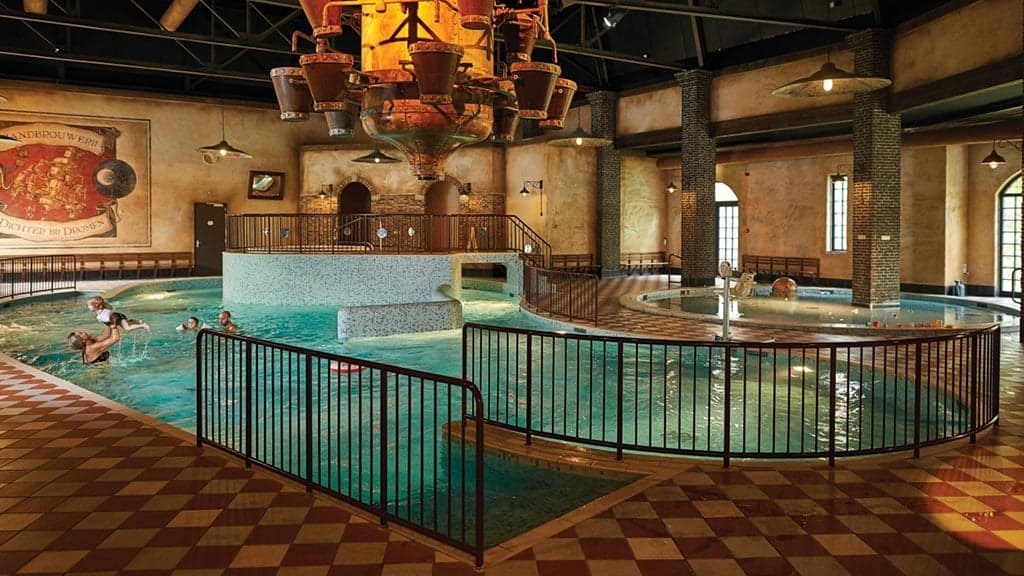 Efteling Village Bosrijk Tickets Included, Pool