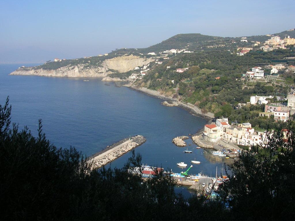 Central Park, General view