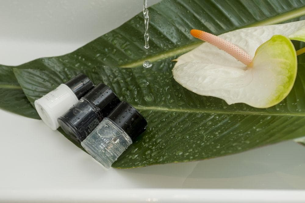 Daphne Trevi, General view