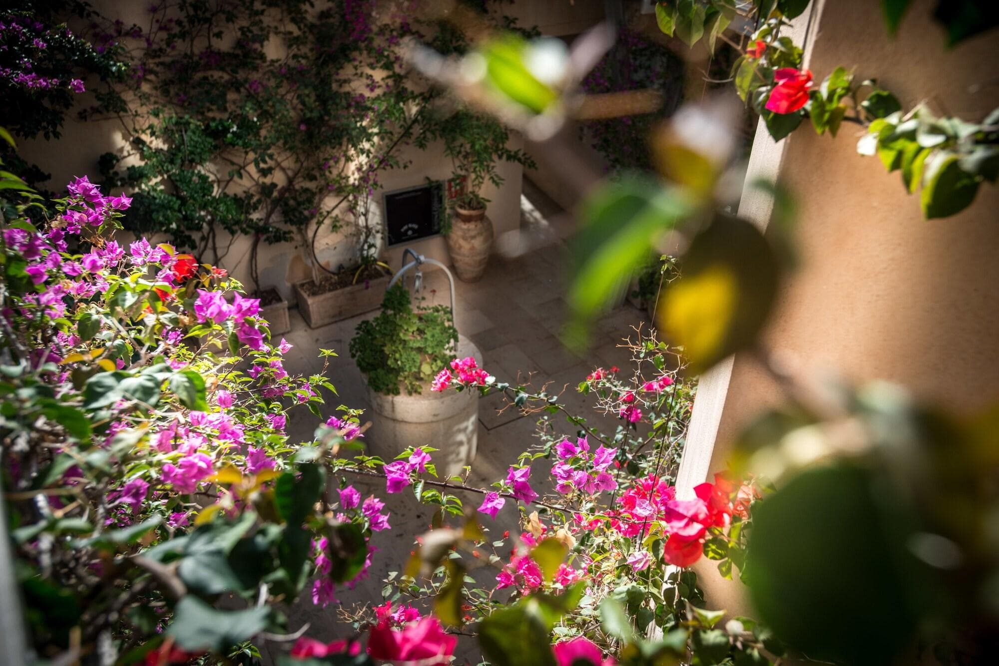 La Moresca, General view