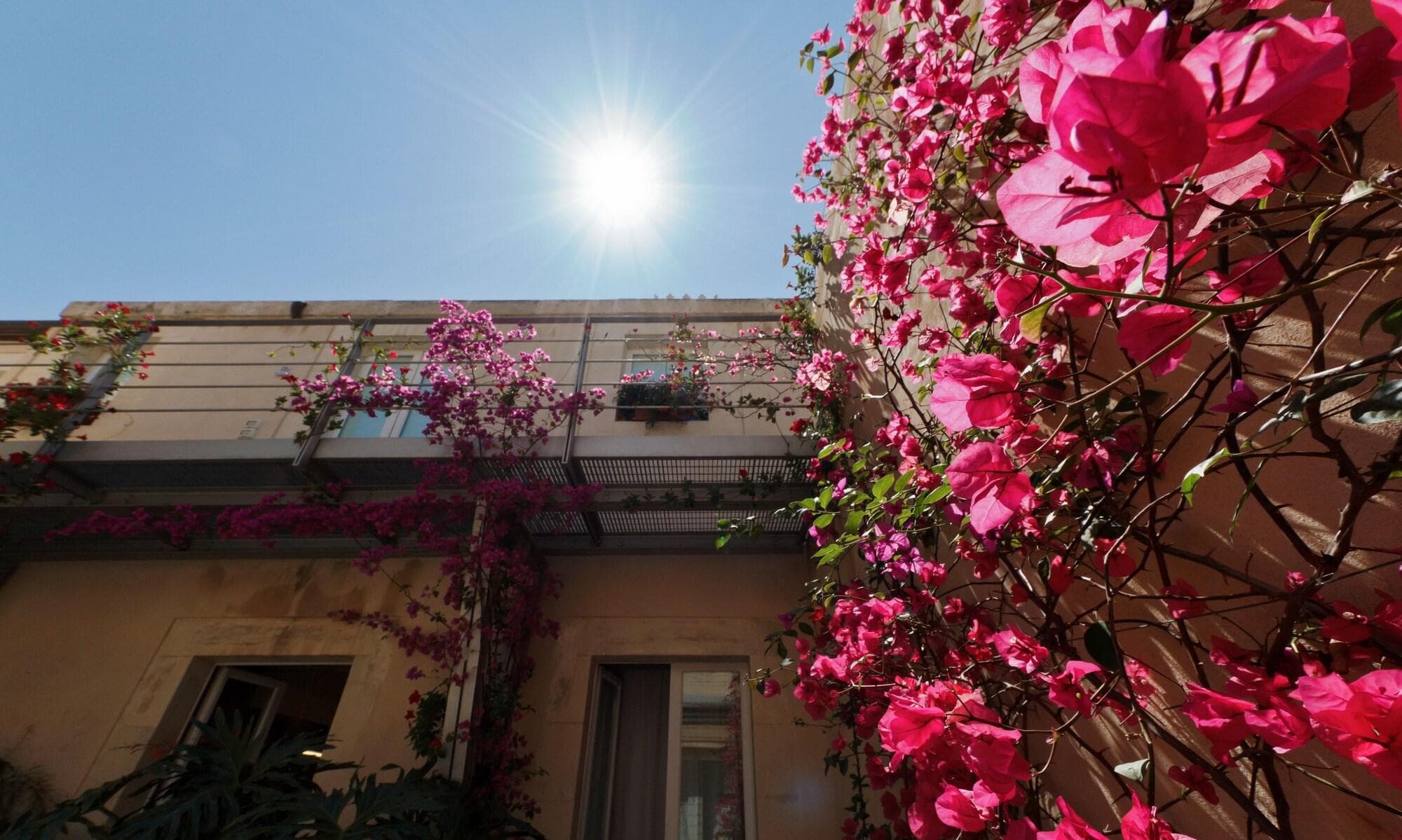 La Moresca, General view