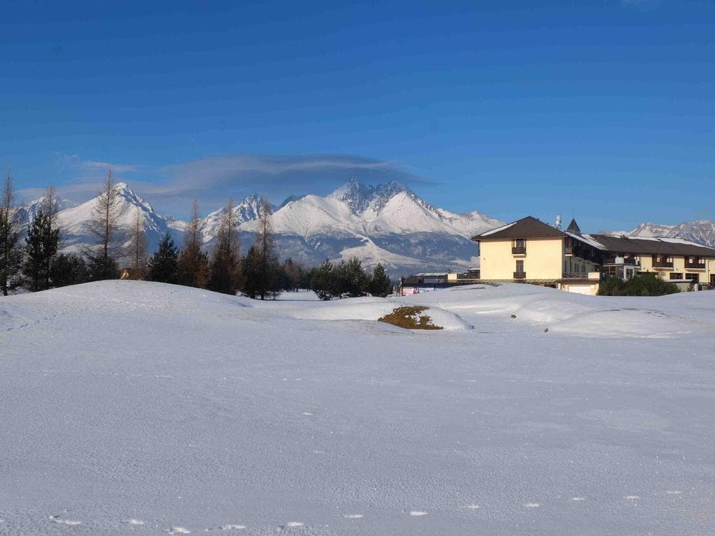 International, General view