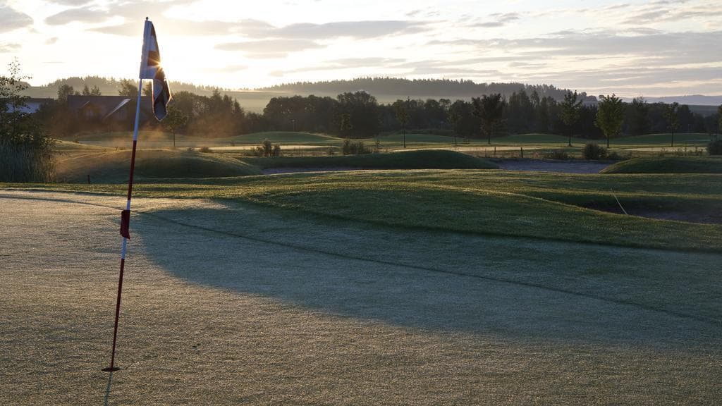 International, General view