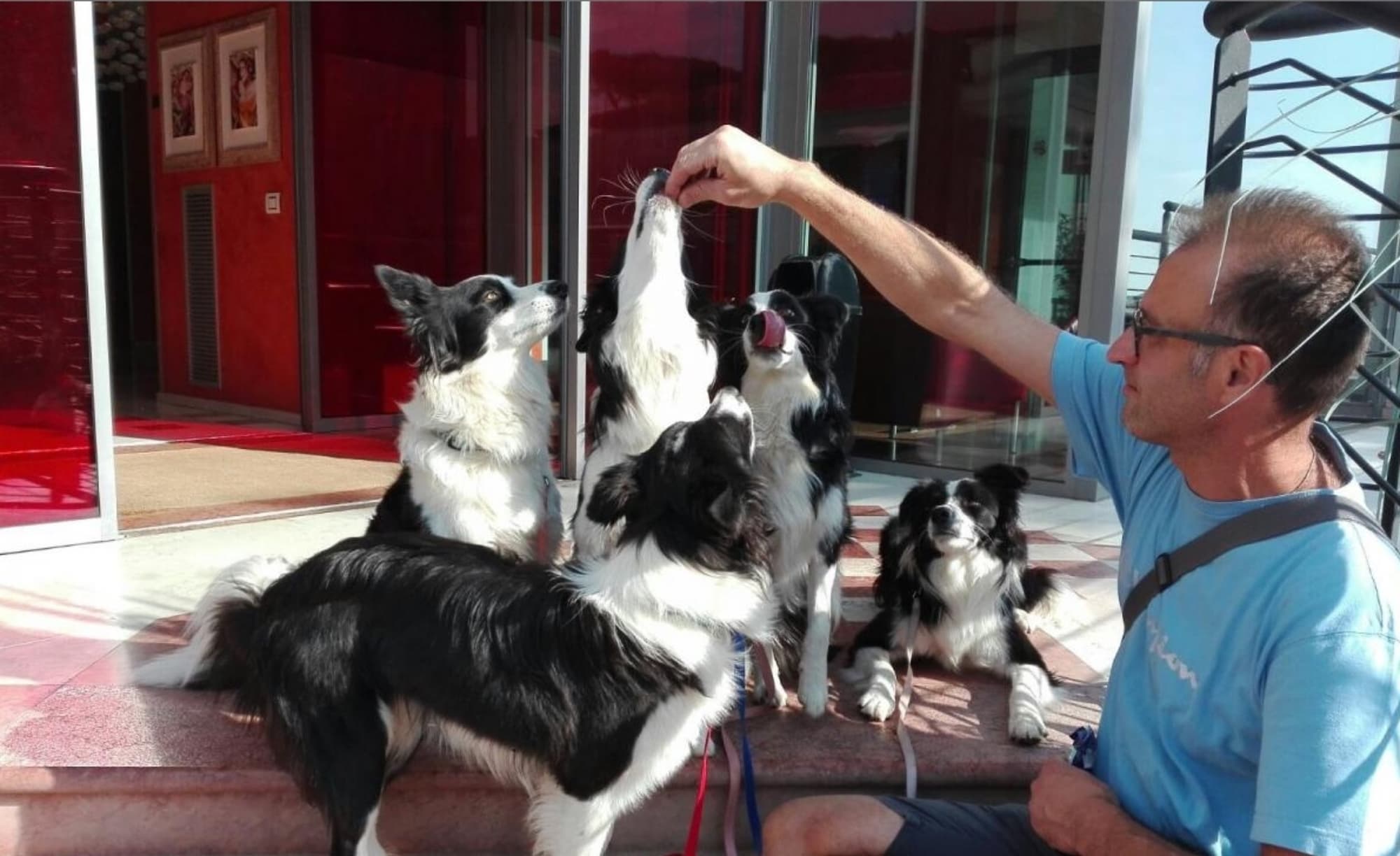 Hotel Adlon, General view