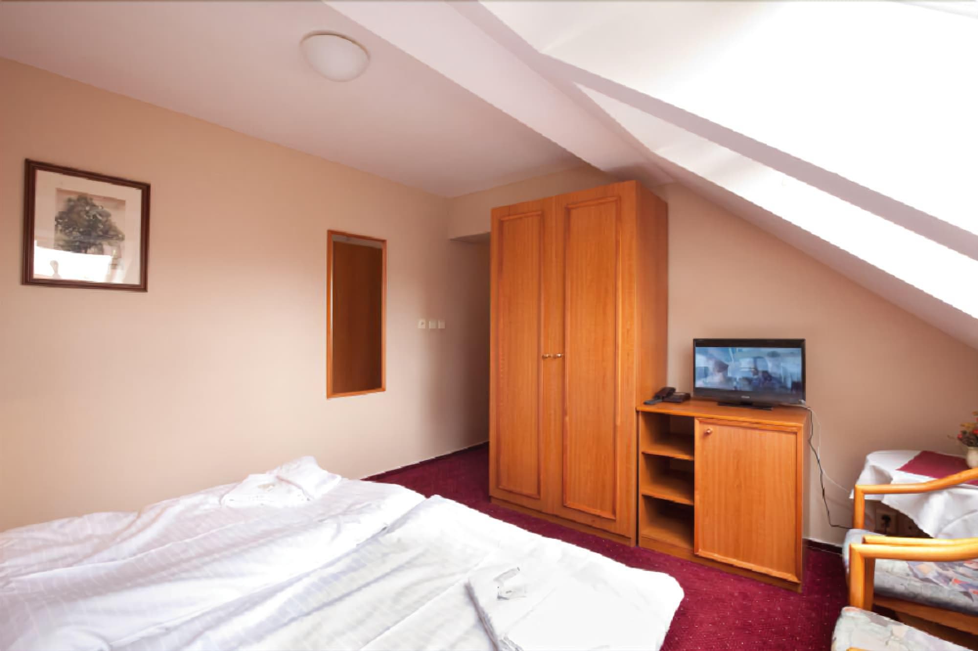 U Cernoho Orla, Room