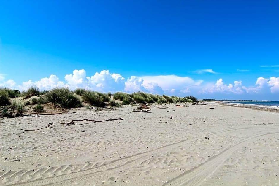 Villa Orio E Beatrice, General view