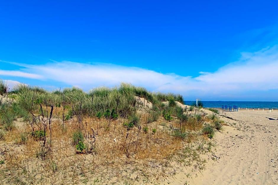 Villa Orio E Beatrice, Lobby