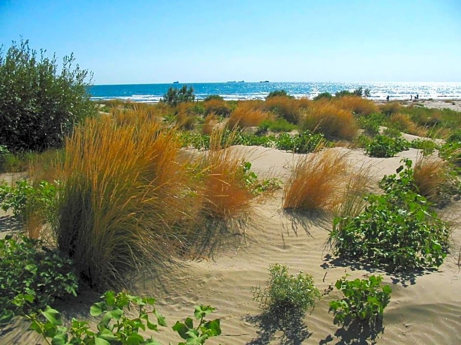 Villa Orio E Beatrice, Lobby