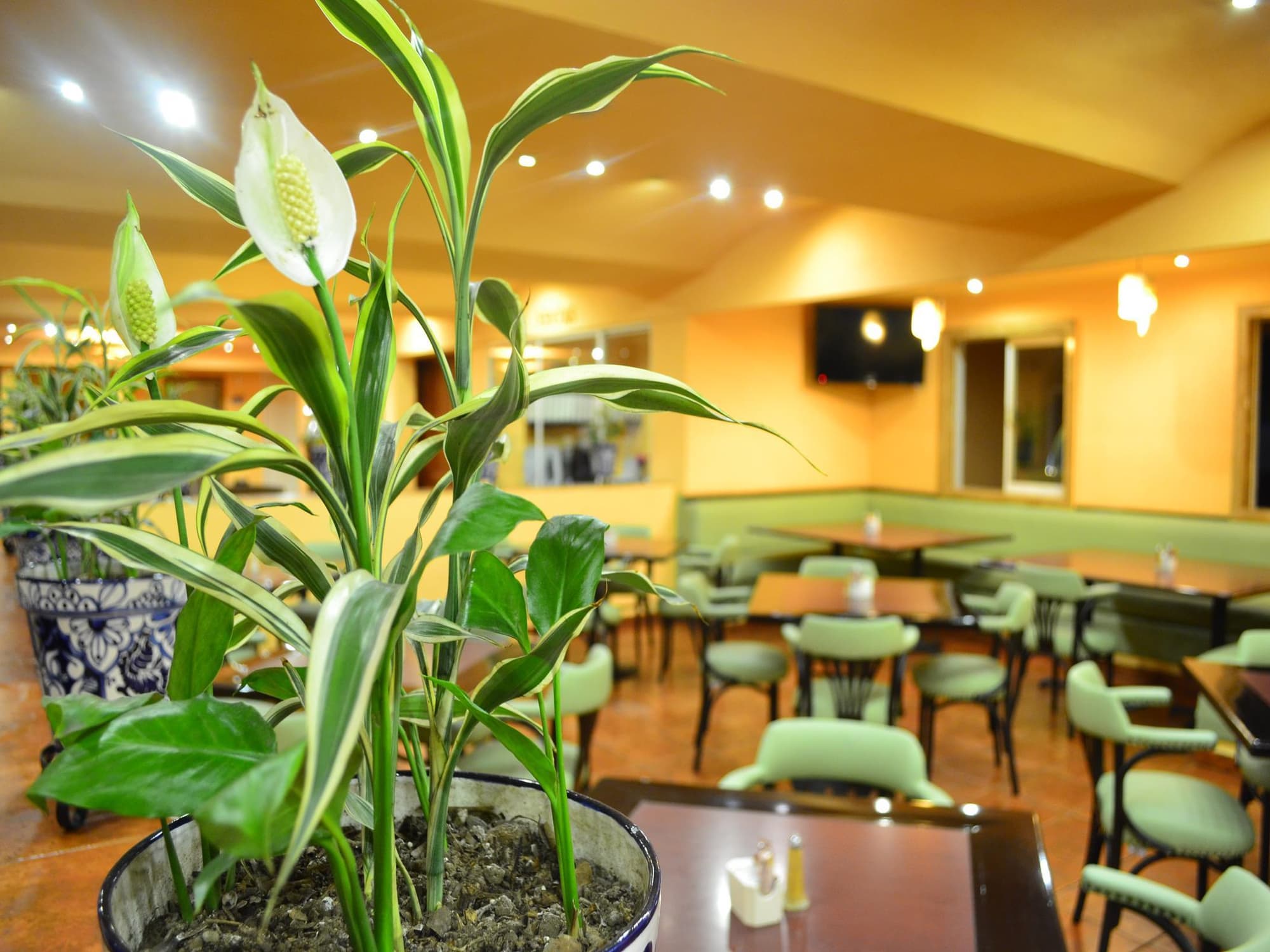 Mision Orizaba, Restaurant