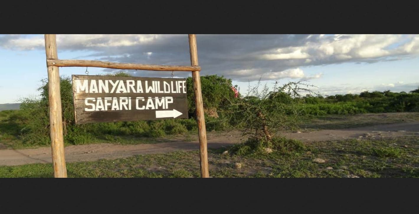 Manyara Wildlife Safari Camp, General view