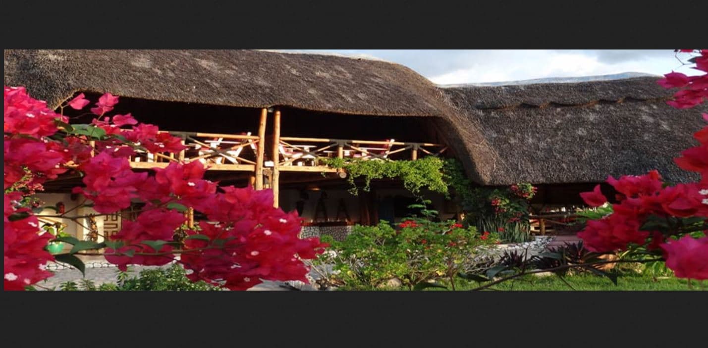 Manyara Wildlife Safari Camp, General view