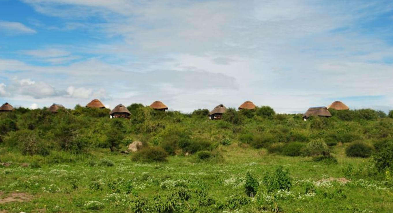 Manyara Wildlife Safari Camp, General view