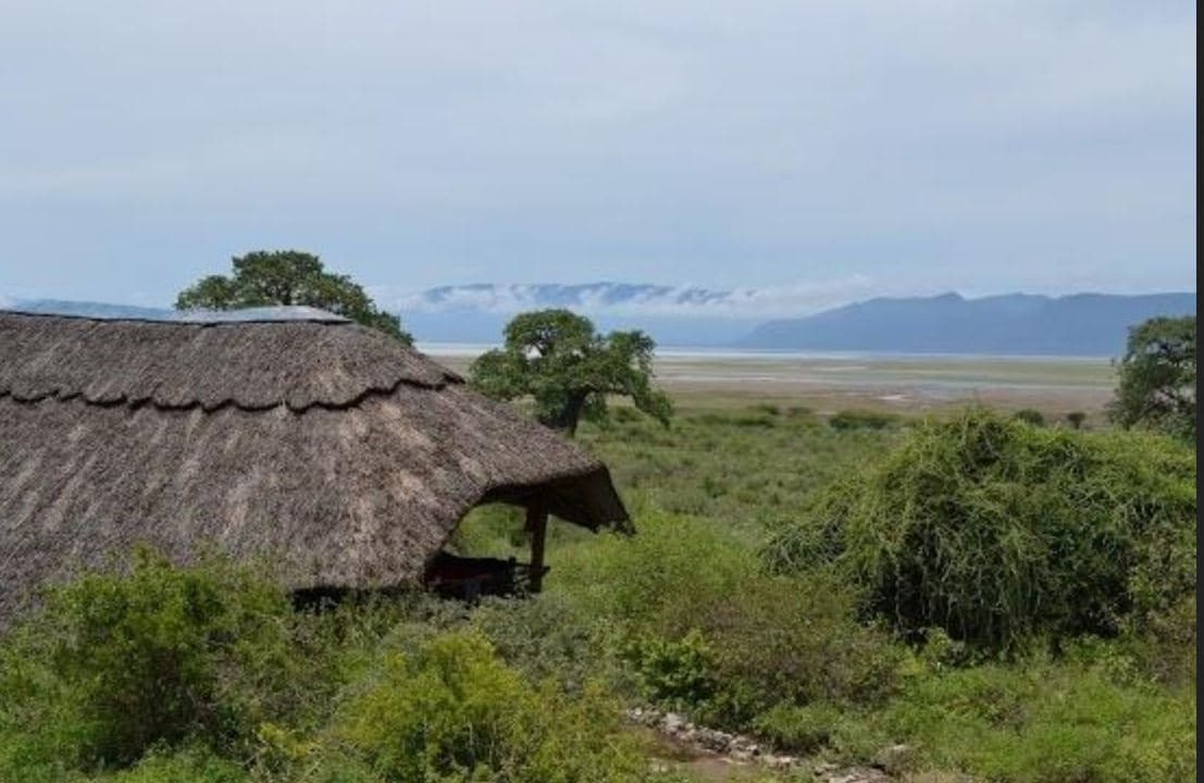 Manyara Wildlife Safari Camp, General view