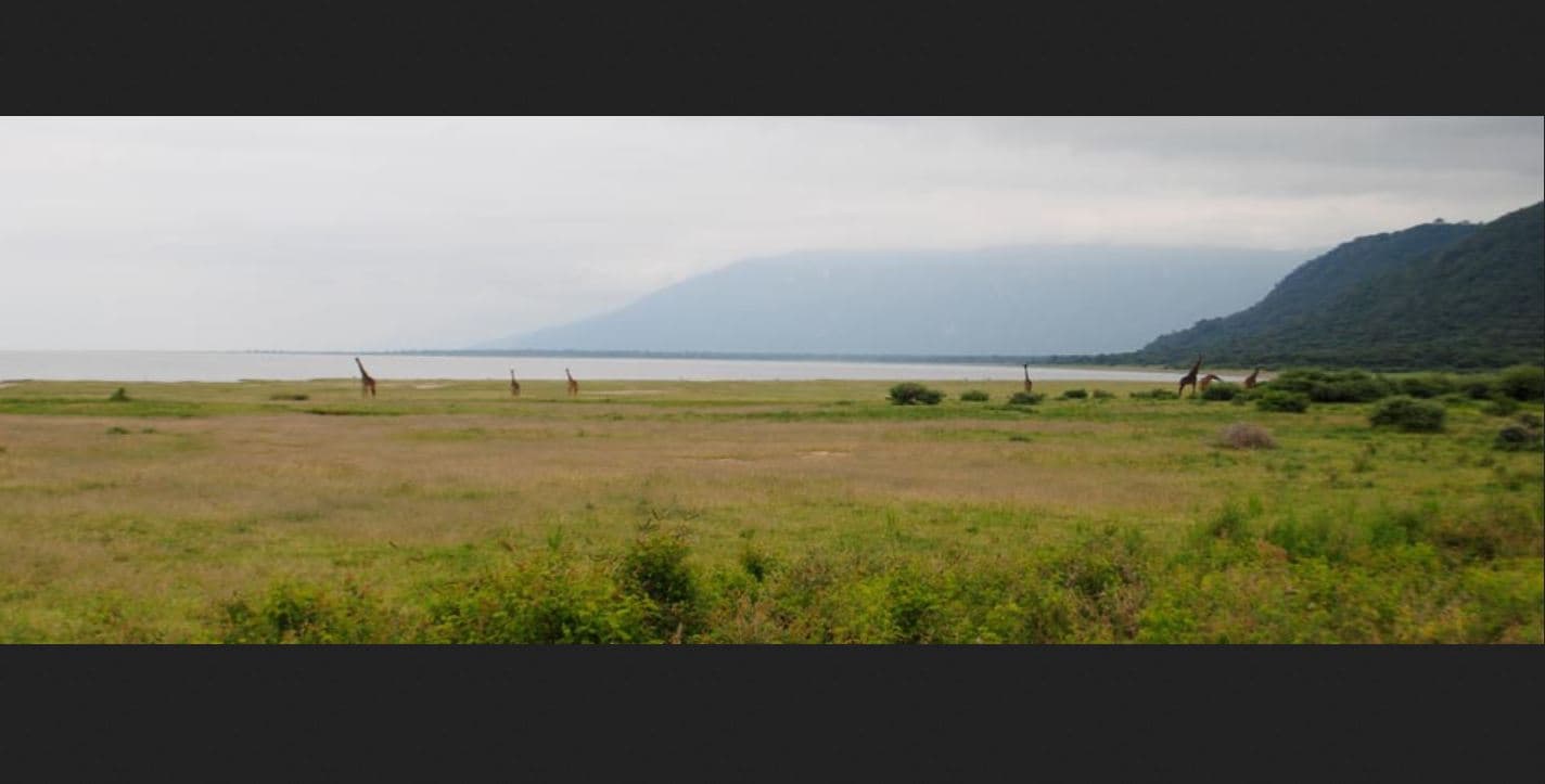 Manyara Wildlife Safari Camp, Sports and Entertainment