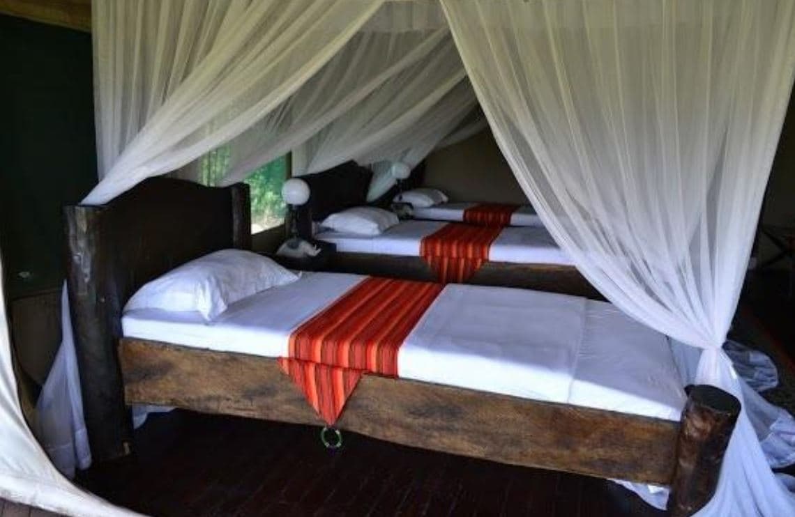 Manyara Wildlife Safari Camp, Room