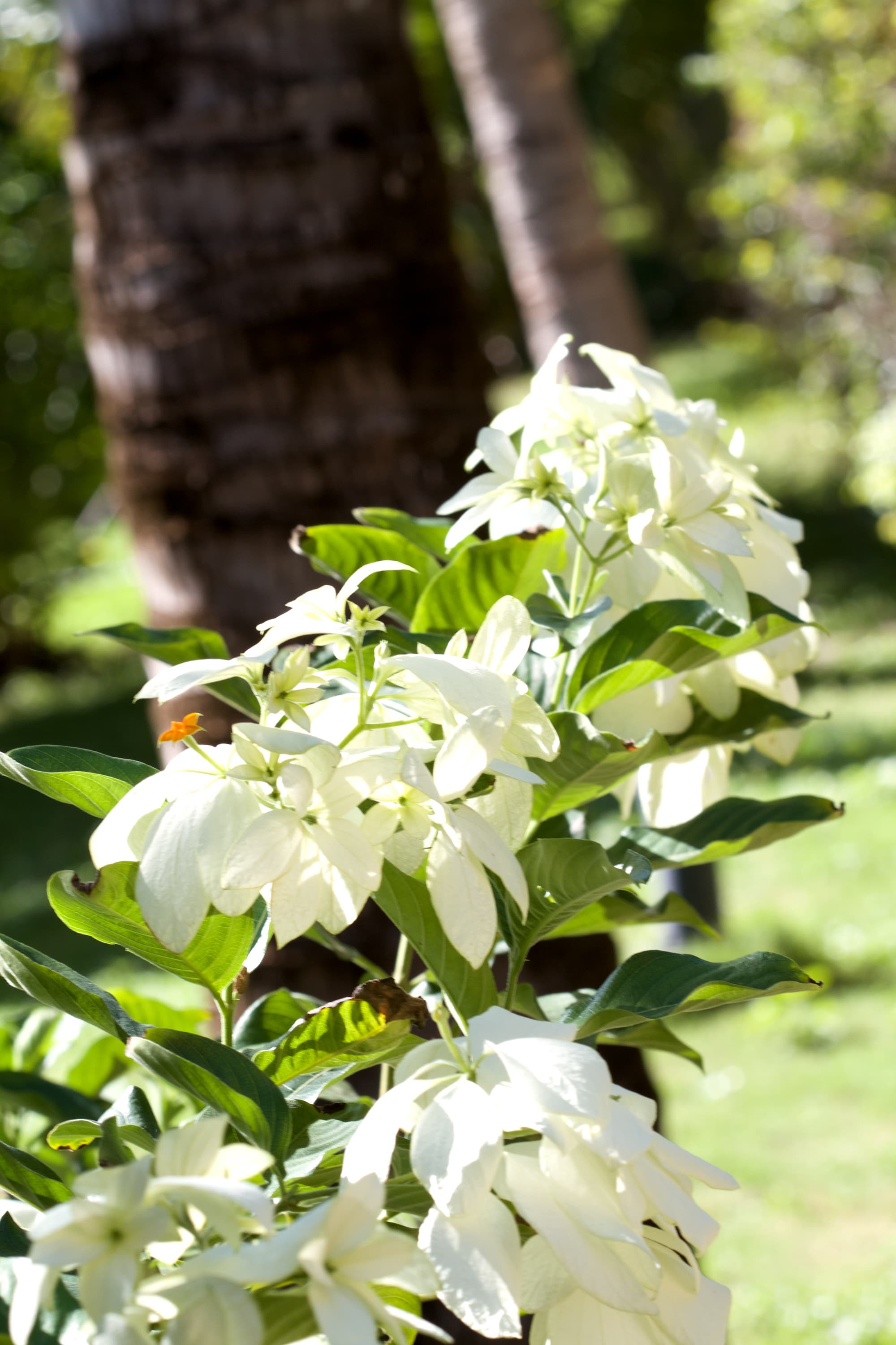Pousada Imperio do Sol, General view