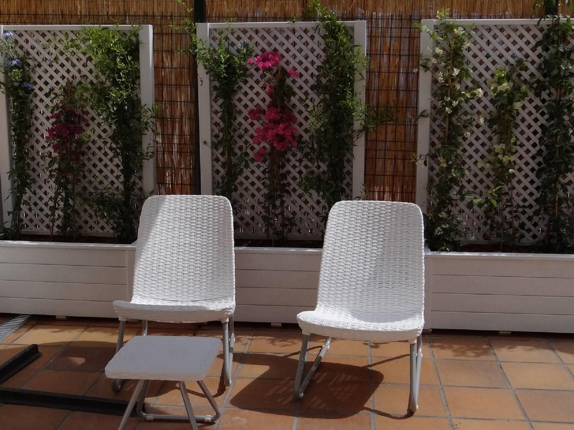 Hostal Balkonia, Terrace