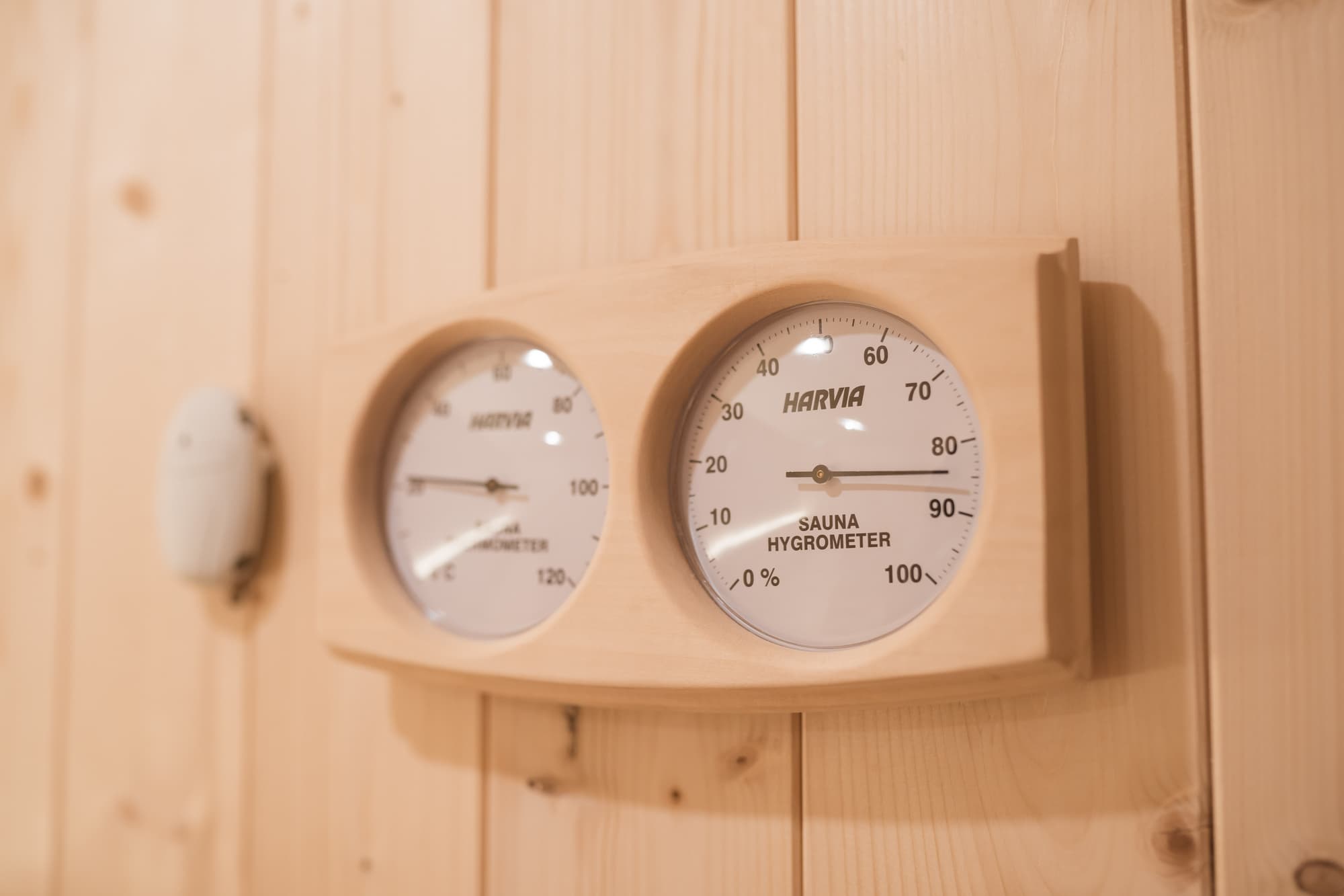 S. Bento Da Porta Aberta, Sports and Entertainment