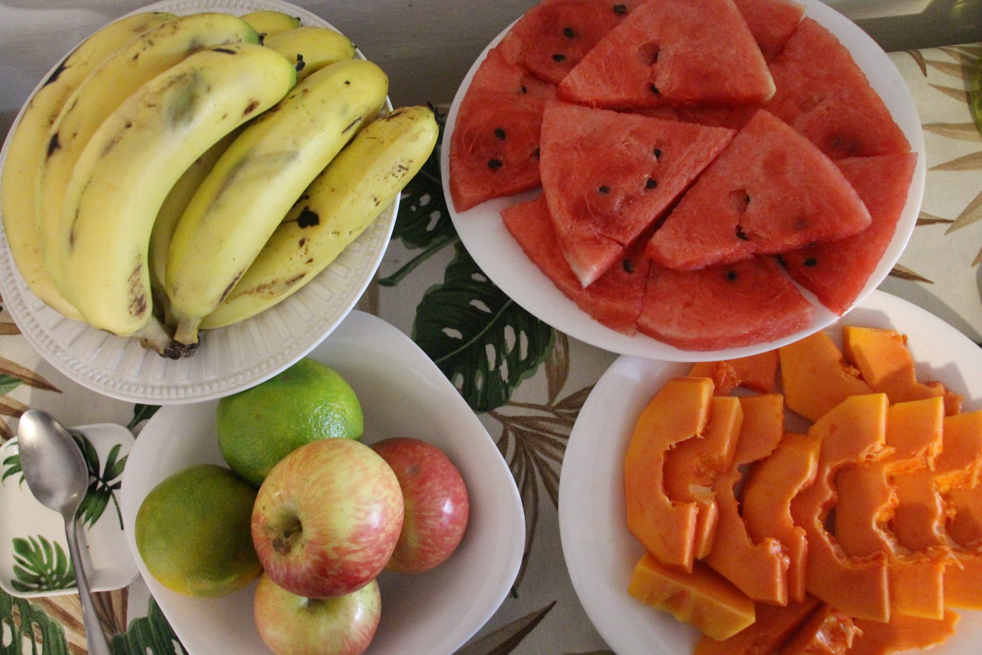 Nova Estrela Buzios, Bar