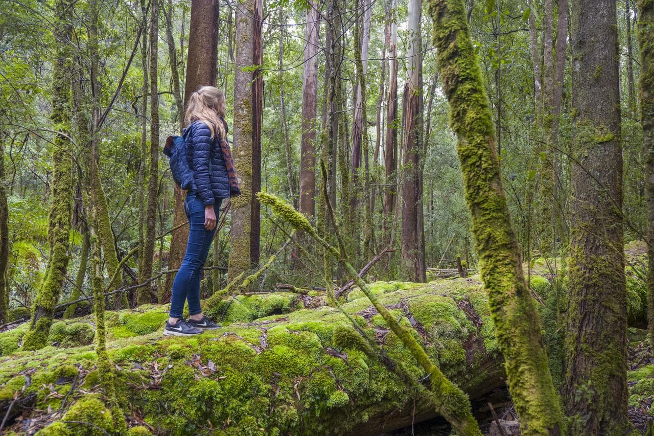 Hobart Central YHA, General view
