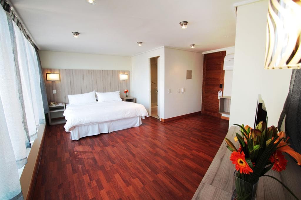 Hotel Terrado Lyon, Room