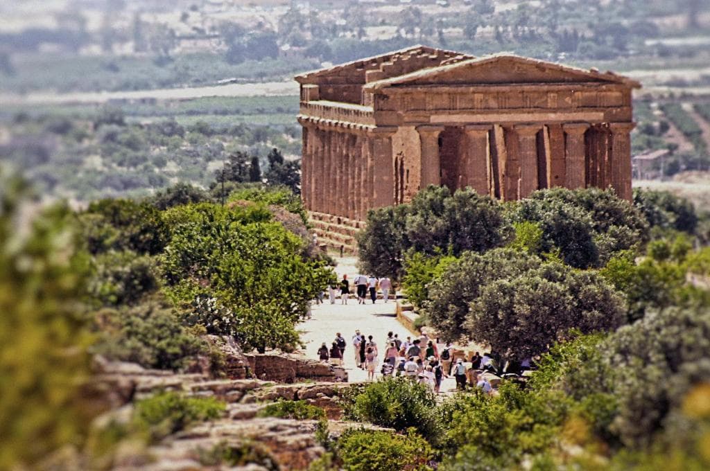 Dei Pini, Sports and Entertainment